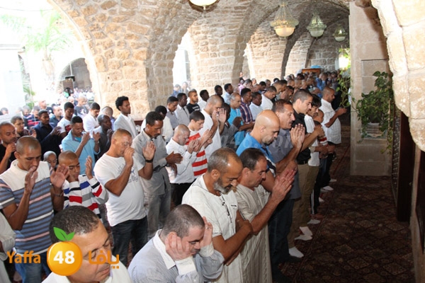 3eed ad7a akber 0510 (26).JPG